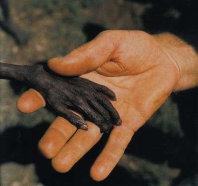 foto 40b.jpg (13607 bytes)